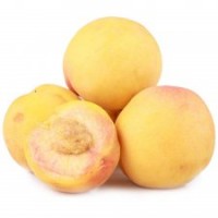 黄桃苗品种推荐价格