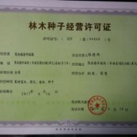 供应辽宁榛子苗