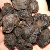 大量长期供应批发乌梅干烟熏乌梅干乌梅肉无核药用