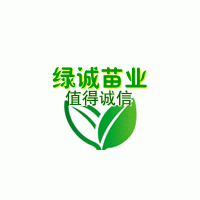 自贡出售黄葛树