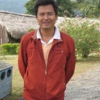 供应:海南黄花梨苗 沉香苗2(图)1