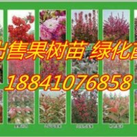 皇家雨点海棠@北美海棠苗大全