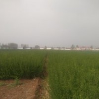 便宜处理1米水蜡