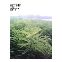 供国槐苗，椿树苗，法桐苗，白蜡苗，北栾苗