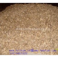 供应马褂木种子，马褂木苗，绿化苗马褂木