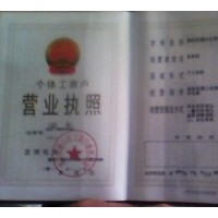 长期供应南京雪松 广玉兰 香樟 女贞 桂花等