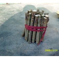 供108速生杨，千头椿,臭椿,白腊,合欢,柳树,毛白杨