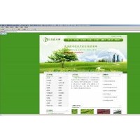 常年低价现货供应丰花月季、海桐，紫荆、紫薇、红叶李、国槐，龙