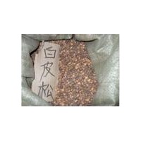 长期供应白皮松种籽、油松种籽、侧柏种籽、华山松种籽、樟子松种