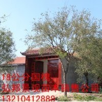 供应1-30公分国槐，白蜡, 垂柳, 各种小苗和一级树