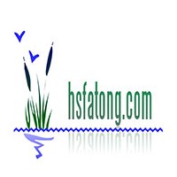 供法桐速生法桐