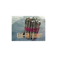 2000亩椿树苗毛白杨苗１０７杨苗.白蜡.国槐.法桐.合欢