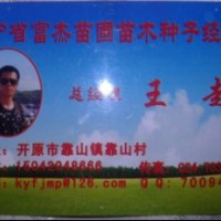 紫叶稠李、榆叶梅、红王子、水蜡