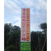 粤东经典园艺常年供应山扁豆,凤凰木,桃花心