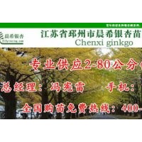 银杏砧板，银杏切菜板价格