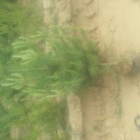 陕西榆林出售1米及1米以下1.2米1.3米1.5米2米2.5米3米3.5米以上