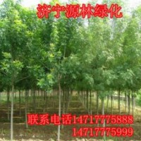 白蜡_白蜡价格_白蜡求购_白蜡图片_白蜡基地