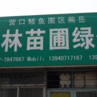 辽宁营口熊岳鑫林苗圃