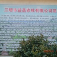 供应乐昌含笑，银杏，花石榴，香樟，华棕等