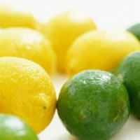 供应酸桔树苗 香橙苗 柠檬树苗 酸柑树苗 酸柚树苗 酸橙苗 紫薇树