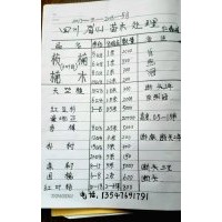 ：供应珍贵名木金丝楠木，桢楠，红豆杉，曼地亚，香樟，朴树，皂